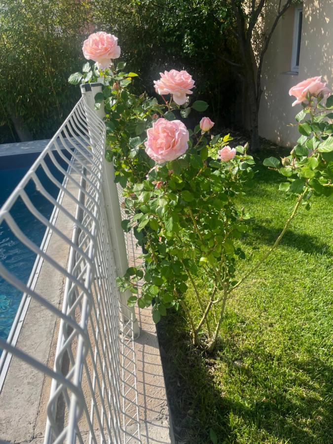 Villa Climatise Avec Piscine Et Jacuzzi Carpentras Exterior foto
